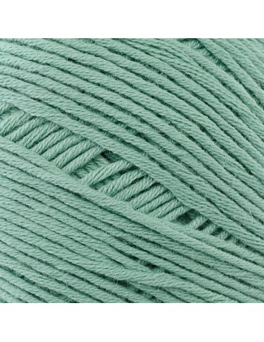 LANAS RUBÍ NATURAL 50GR