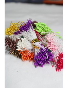 PISTILOS PARA FLORES