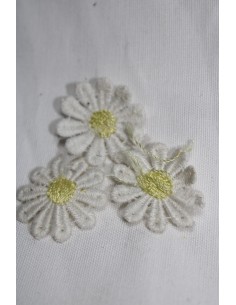 APLICACION DE MARGARITA GRANDE