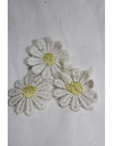 APLICACION DE MARGARITA GRANDE