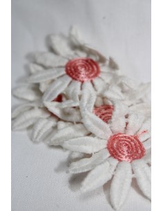 APLICACION MARGARITA PEQUEÑA