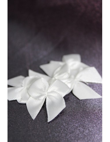 APLICACION LAZO BLANCO